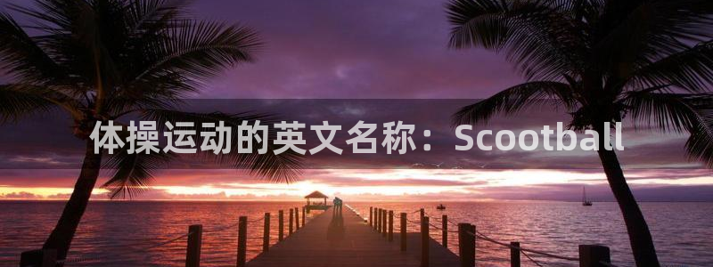 杏悦2代理注册入口：体操运动的英文名称：Scootball