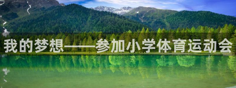 杏悦2体育官网注册：我的梦想——参加小学体育运动会