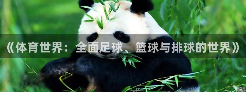 杏悦2体育平台注册：《体育世界：全面足球、篮球与排球的世界》