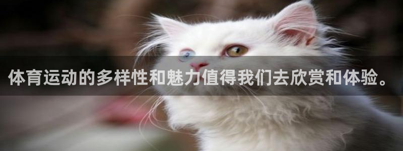 杏悦2注代理：体育运动的多样性和魅力值得我们去欣赏和体验。