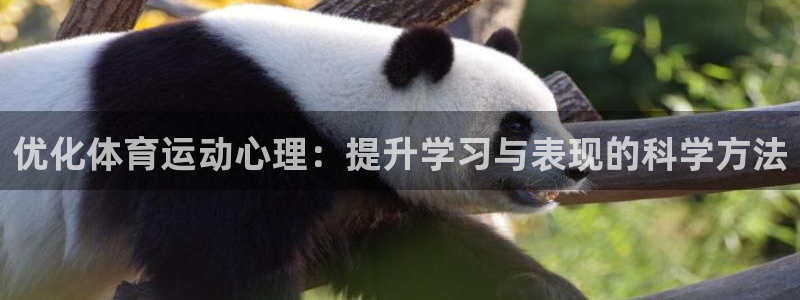 杏悦2手机客户端下载：优化体育运动心理：提升学习与表现的科学方法
