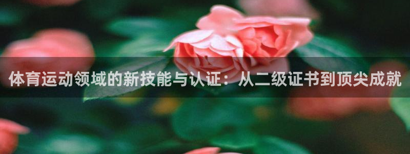 杏悦2体育官网注册：体育运动领域的新技能与认证：从二级证书到顶尖成就