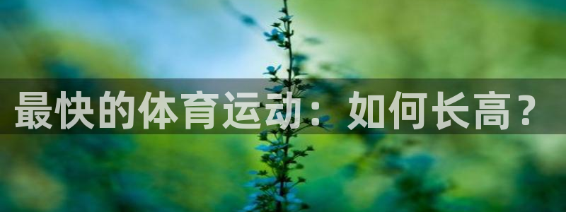 杏悦2体育凯捷平台注册：最快的体育运动：如何长高？