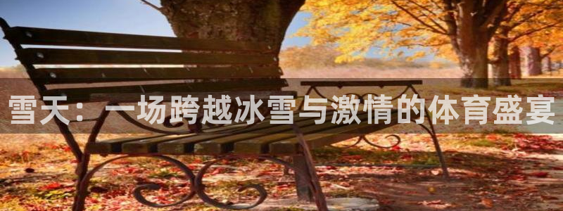 杏悦2体育f开户：雪天：一场跨越冰雪与激情的体育盛宴