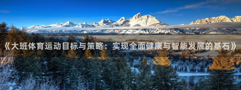 杏悦24平台：《大班体育运动目标与策略：实现全面健康与智能发展的基石》