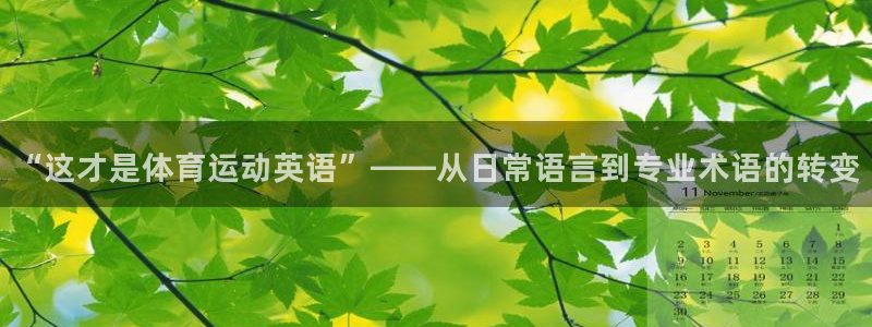 杏悦2体育平台注册：“这才是体育运动英语”——从日常语言到专业术语的转变