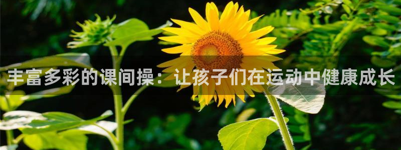 杏悦2官网：丰富多彩的课间操：让孩子们在运动中健康成长