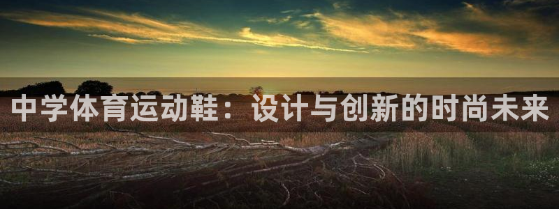 杏悦2手机客户端下载：中学体育运动鞋：设计与创新的时尚未来