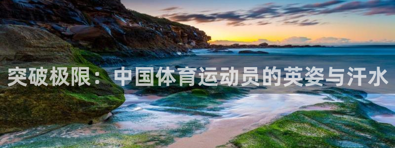 杏悦2体育老板是谁：突破极限：中国体育运动员的英姿与汗水