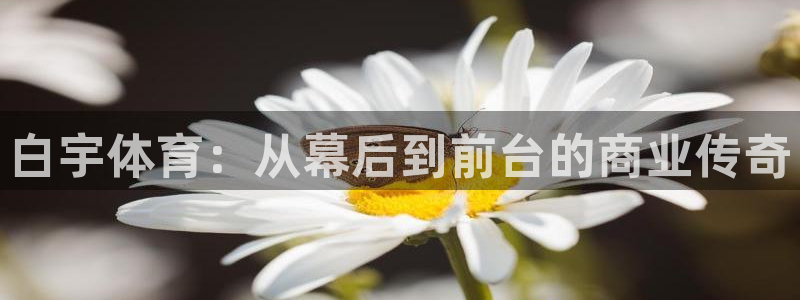 杏悦22体育登录入口：白宇体育：从幕后到前台的商业传奇