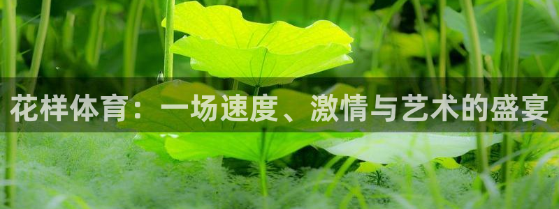 东莞市杏悦2电子科技有限公司