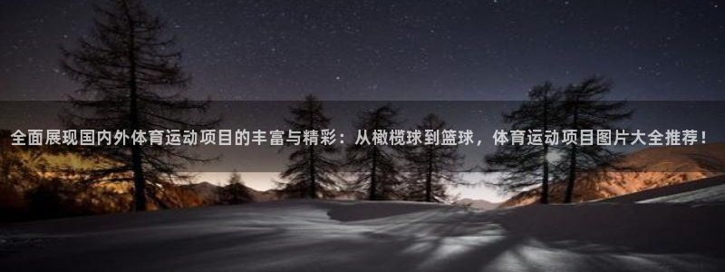 杏悦2集团总部：全面展现国内外体育运动项目的丰富与精彩：从橄榄球到篮球，体育运动