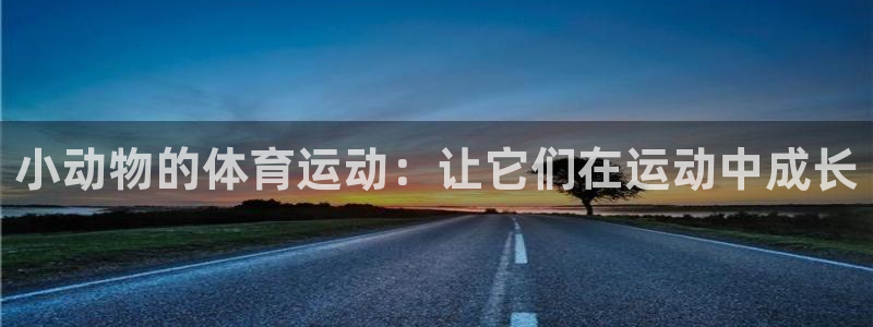 杏悦2集团股票：小动物的体育运动：让它们在运动中成长