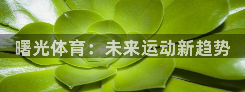 杏悦2注册：曙光体育：未来运动新趋势