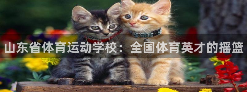 杏悦2注代理：山东省体育运动学校：全国体育英才的摇篮