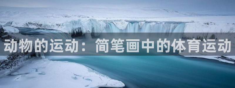 杏悦2凯捷注册：动物的运动：简笔画中的体育运动