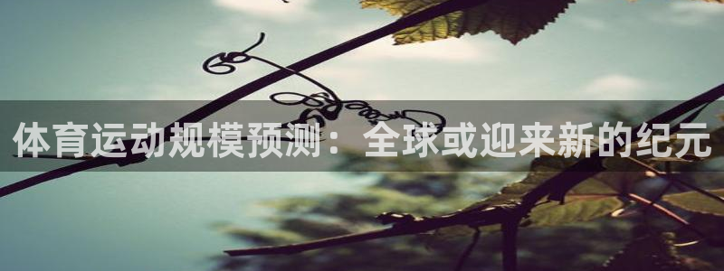 杏悦2体育游戏：体育运动规模预测：全球或迎来新的纪元