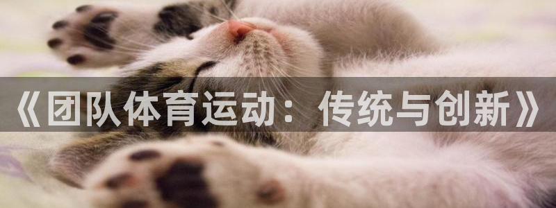 杏悦2集团股票：《团队体育运动：传统与创新》
