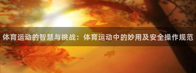 杏悦2：体育运动的智慧与挑战：体育运动中的妙用及安全操作规范