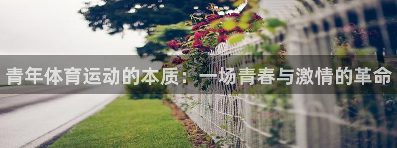 杏悦23平台注册：青年体育运动的本质：一场青春与激情的革命