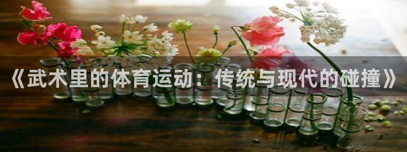 杏悦2kgame：《武术里的体育运动：传统与现代的碰撞》